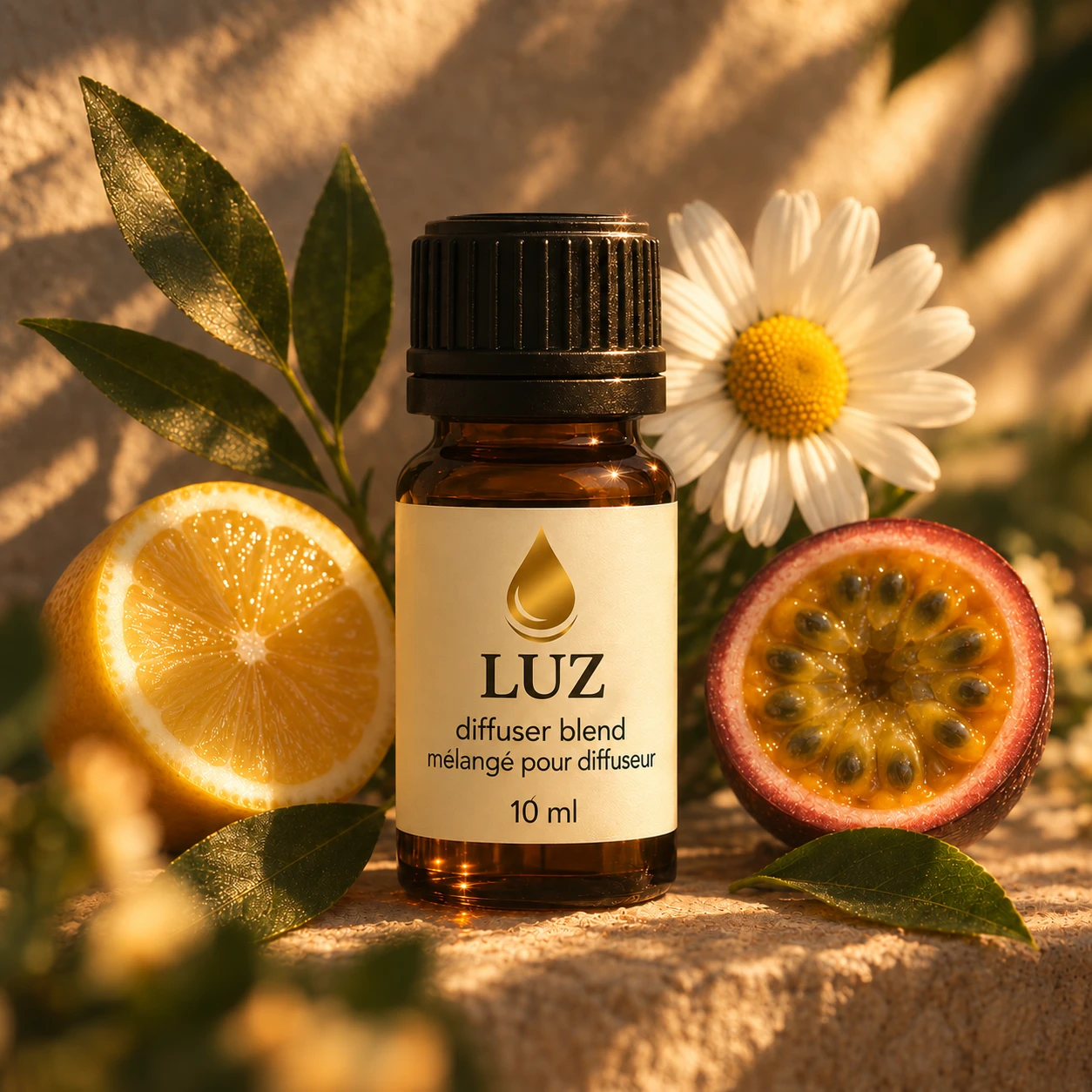 Bouteille LUZ